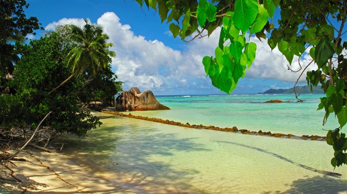 Seaside scenery-Seychelles island scenery HD wallpaper Views:13933 Date:2013/6/17 23:34:03