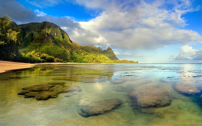 Shallow plage-Hawaiian Islands paysage Fond d'écran Vues:11085