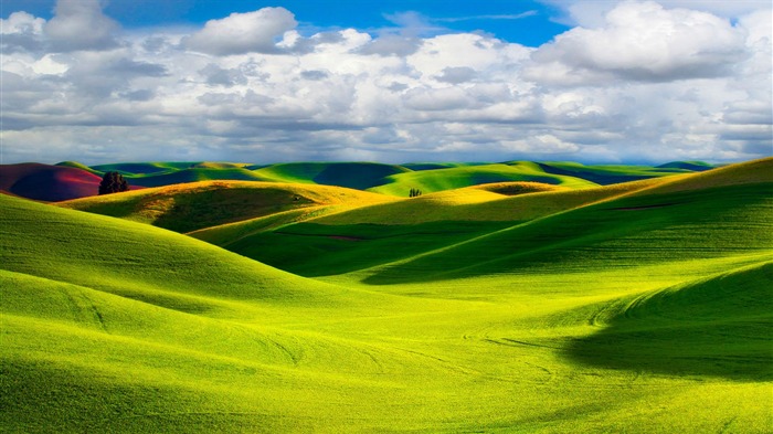 Prairies vastes-Fond d'écran paysage Nature Vues:22090