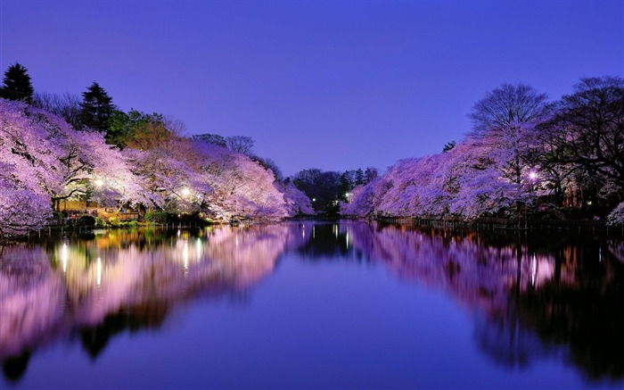 japón osaka ciudad parque lago-paisaje fondo de pantalla HD Vistas:34231