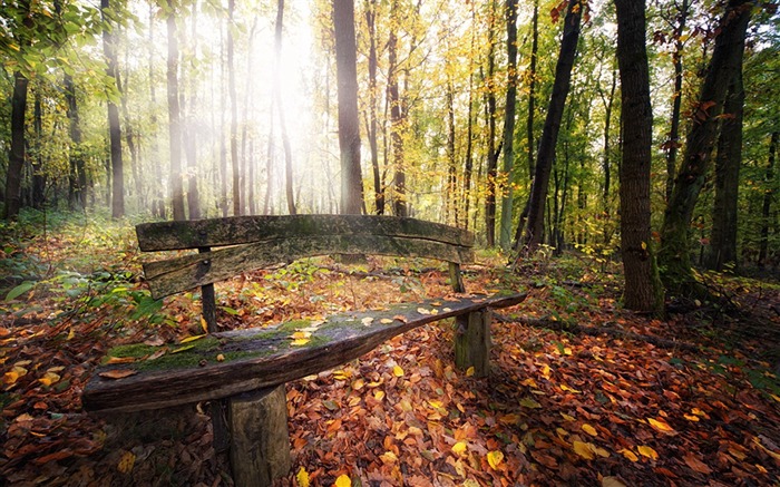 vieux banc de bois-La photographie de paysage fond d'écran Vues:10398