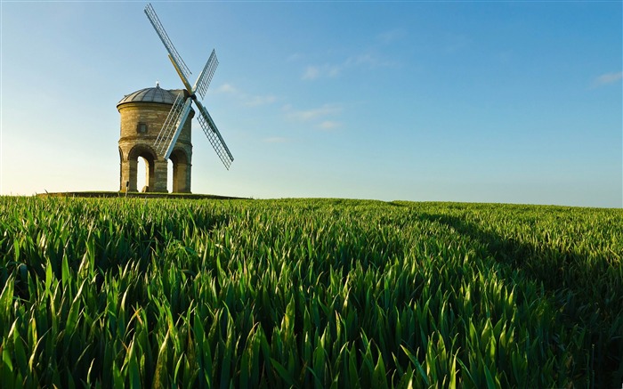 antiguo molino de viento-verano naturaleza fondo de pantalla HD Vistas:10814