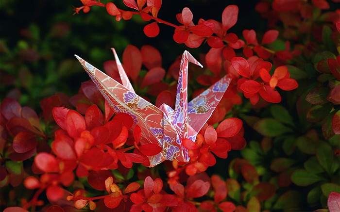 red origami-Macro photography wallpaper Views:11849 Date:2013/6/24 21:47:21