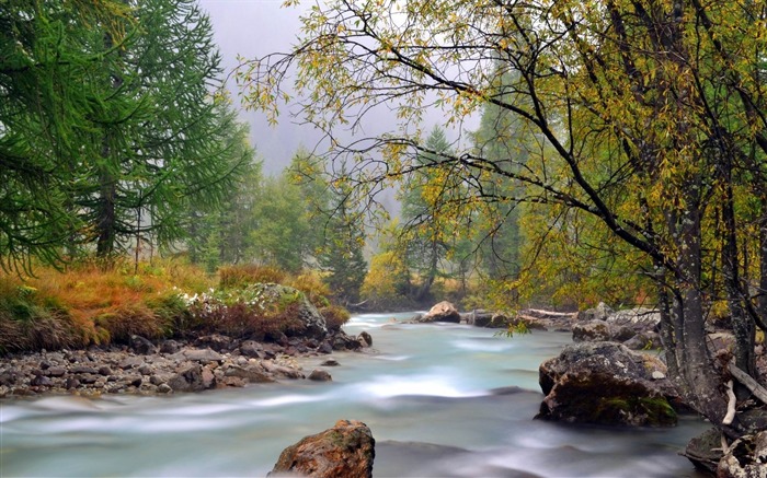 River mountain trees stream-Summer Photography Wallpaper Visualizações:10884