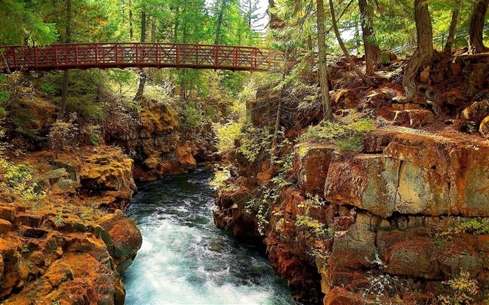 rocas del río puente árboles-Paisaje fondo de pantalla HD Vistas:8737