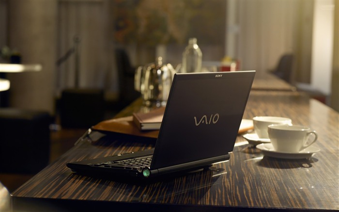 vaio-Brand Widescreen Wallpaper Views:9243 Date:2013/6/10 12:08:36