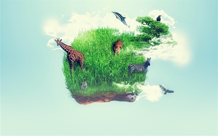 wildlife zoo-Creative Design HD Wallpapers Views:7276 Date:2013/6/26 22:33:39