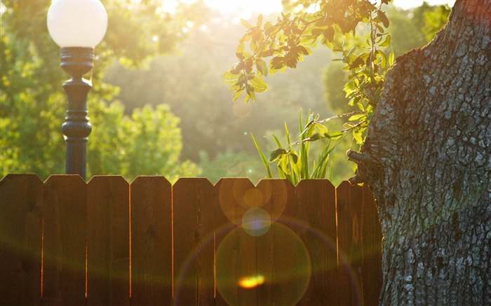 wood fence-Summer Nature HD Wallpaper Views:9285 Date:2013/6/24 23:09:38