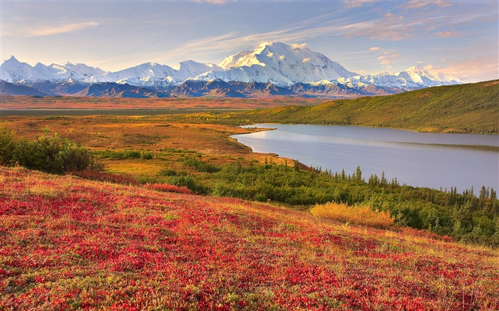 Parque nacional de Denali Paisagem bonita HD Wallpaper Visualizações:15609