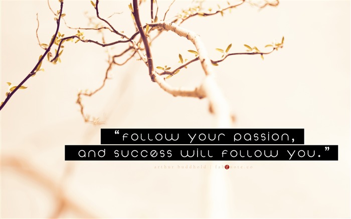 arthur buddhold success quote-Abstract design HD wallpaper Views:9391 Date:2013/7/13 12:25:13