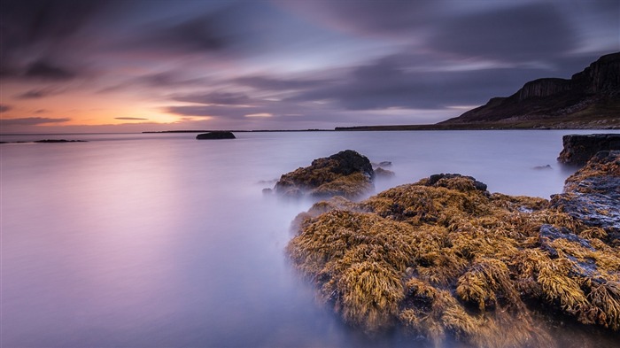 baie pierres algues aube-un paysage naturel Fond d'écran Vues:9797