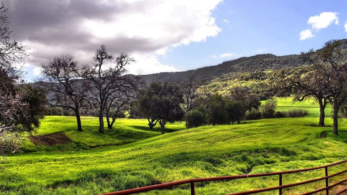 colinas verdes por trás do fundo da parede Visualizações:9156