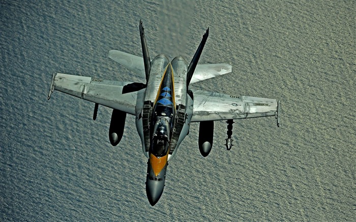 Hornet-Military Widescreen Wallpaper Vistas:13117