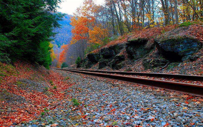 chemin de fer ciel herbe automne-Nature paysage HD Fond d'écran Vues:11094