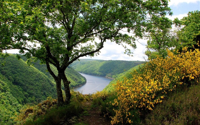 arbres de la rivière arbustes à fleurs-Nature paysage HD Fond d'écran Vues:11678