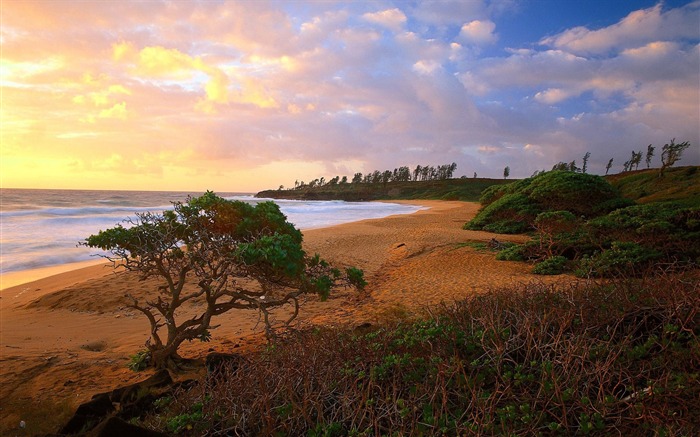 plage de la mer-Nature paysage HD Fond d'écran Vues:8646