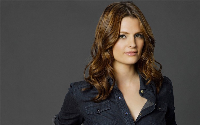 Kate Beckett-Beauté photo HD fond d'écran Vues:11010