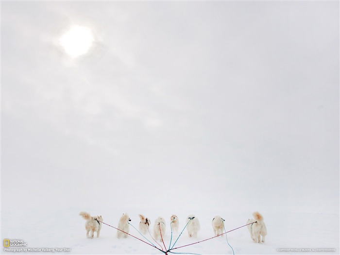 Nunavut Canada-National Geographic photo fond d'écran Vues:9001