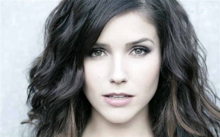 Sophia Bush belleza foto HD fondo de pantalla 01 Vistas:9522