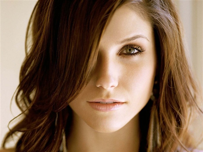 Sophia Bush beauty photo fondo de pantalla HD 18 Vistas:7667