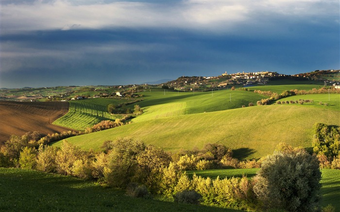 Tuscany prairie landscape theme wallpaper 01 Views:11015 Date:2013/8/5 10:23:24