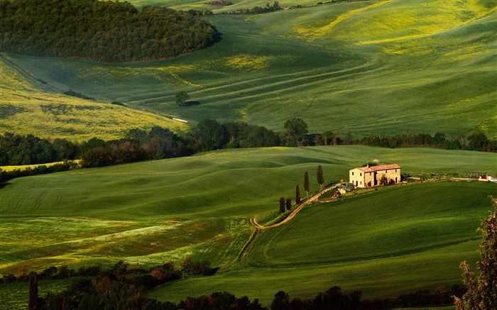 Tuscany prairie landscape theme wallpaper 02 Views:10530 Date:2013/8/5 10:23:39