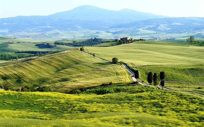 Tuscany prairie landscape theme wallpaper 06 Views:9337 Date:2013/8/5 10:25:18