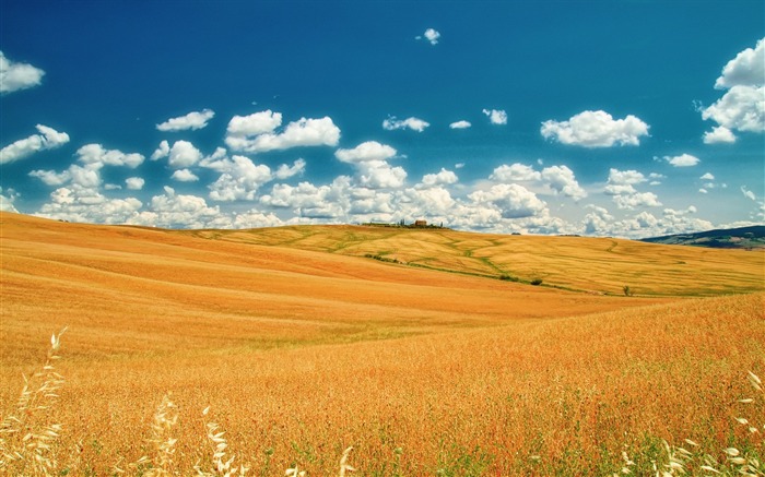 Tuscany prairie landscape theme wallpaper 13 Views:10381 Date:2013/8/5 10:27:39