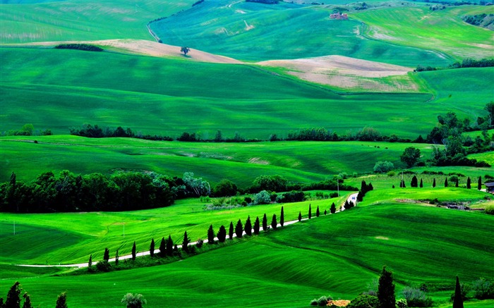 Tuscany prairie landscape theme wallpaper 14 Views:10972 Date:2013/8/5 10:28:00