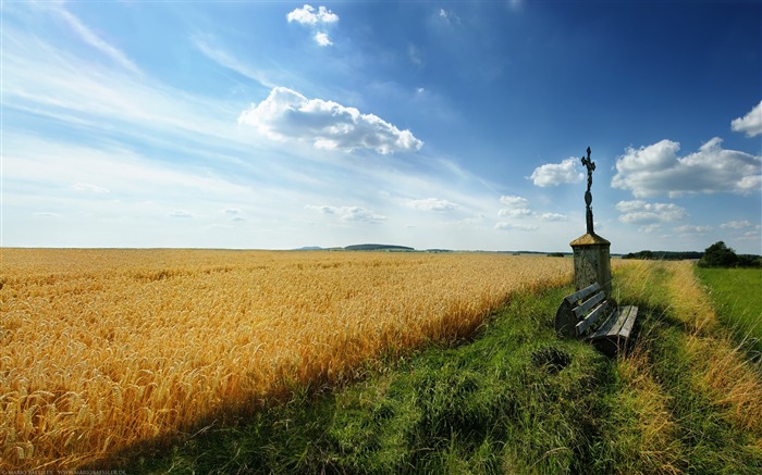 campo cielo shop-Beautiful Nature fondo de pantalla HD Vistas:9545