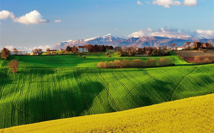 paisagem verde campo paisagem HD Visualizações:15408