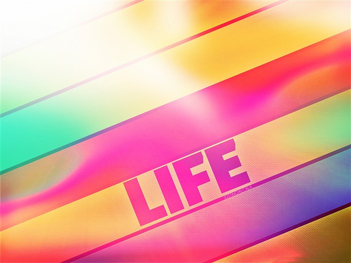 life-design HD wallpaper Views:11337 Date:2013/8/8 9:07:33