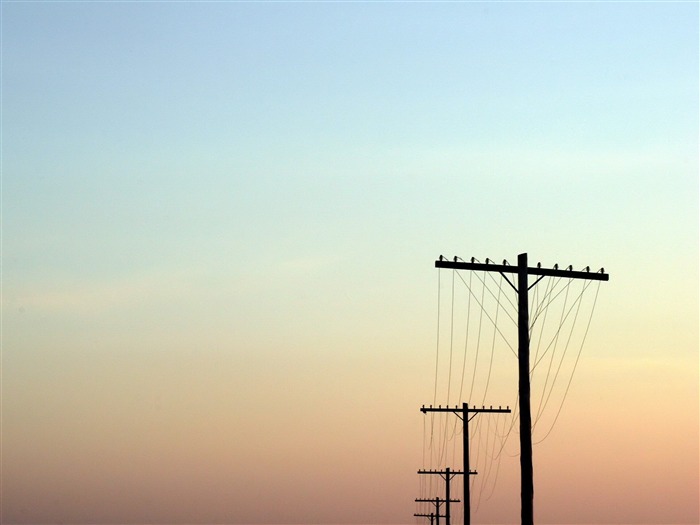 líneas telefónicas: fondos de pantalla de alta calidad Vistas:9220