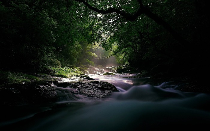 fluxo do rio luz incerteza atual wood-landscape wallpaper HD Visualizações:9817