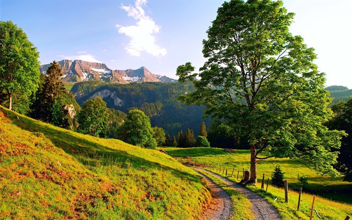 sunny mountain path-landscape HD Wallpaper Views:21430 Date:2013/8/28 9:09:27