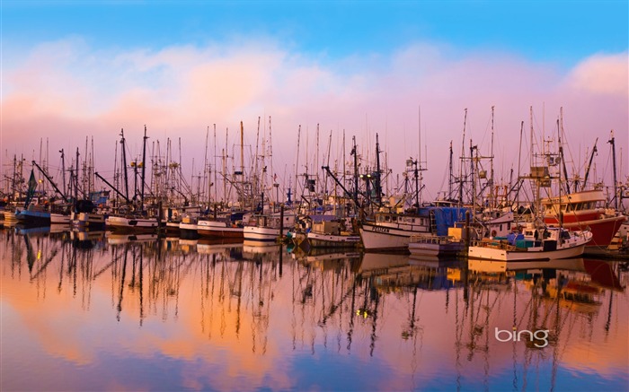 Harbor boats-September 2013 Bing wallpaper Views:9384 Date:2013/9/7 22:20:21