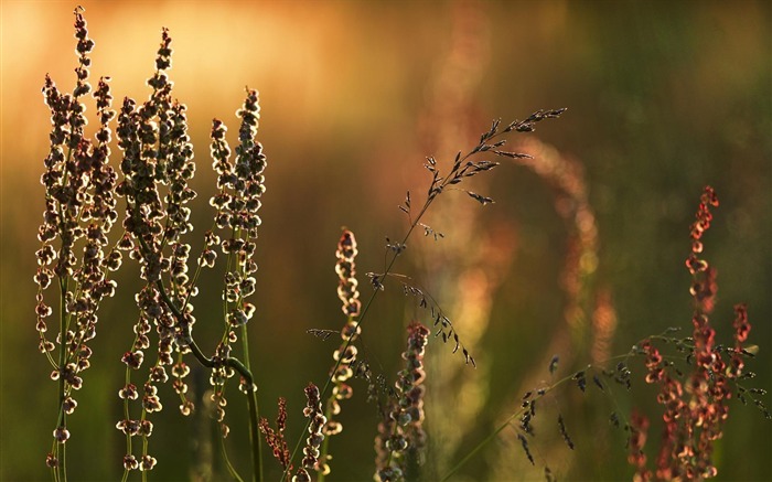 Sweden seasons natural beauty HD Wallpaper 07 Views:7765 Date:2013/9/23 23:30:15