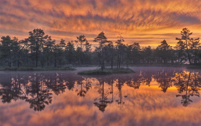 Sweden seasons natural beauty HD Wallpaper 10 Views:9106 Date:2013/9/23 23:32:10