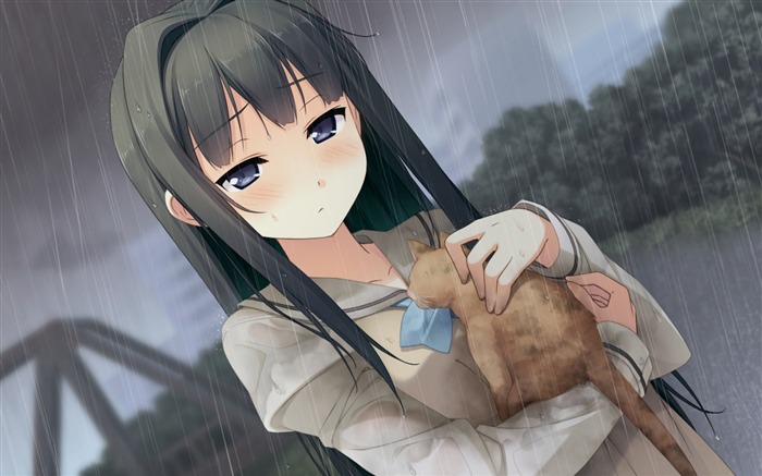 ayase sayuki walking rain kitten care-Anime HD Wallpaper Views:9279 Date:2013/9/12 21:07:37