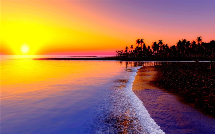 plage tropicale de palmiers soleil-Nature HD Fond d'écran Vues:16505