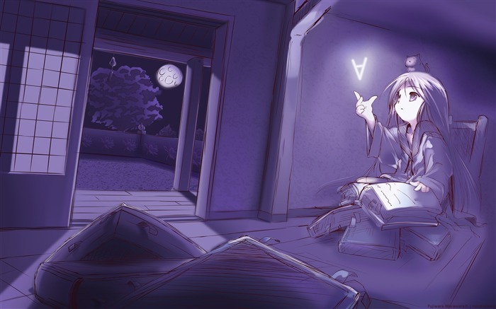 libro de la habitación leyó por la noche-Anime fondo de pantalla HD Vistas:16565