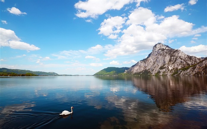 montagnes Lac des cygnes-Nature HD Fond d'écran Vues:8625