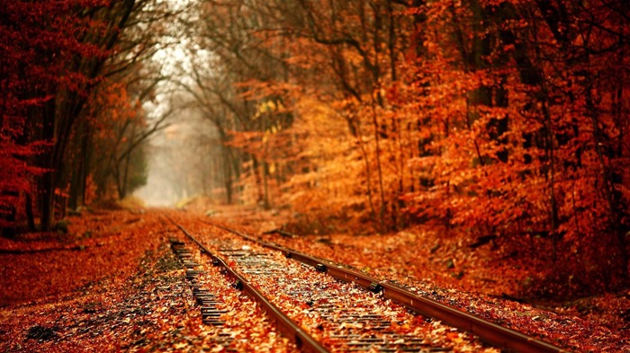 Autumn railway-Landscape HD Wallpaper Views:14281 Date:2013/10/9 8:49:41