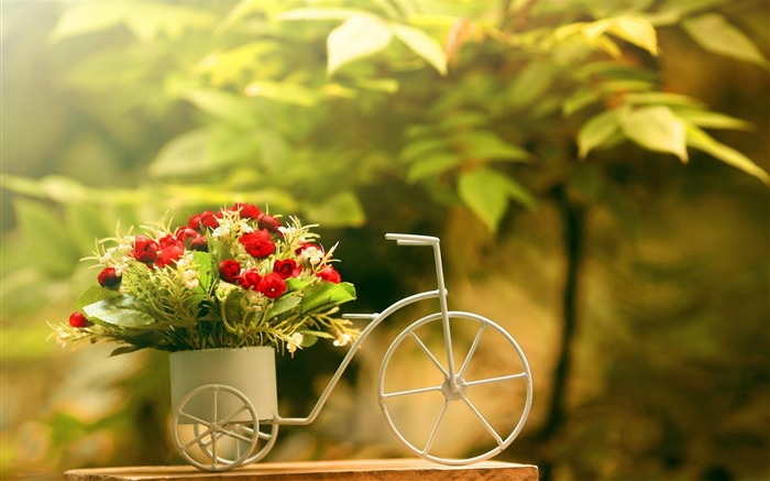 Flowers bike-Flowers HD Wallpaper Views:12978 Date:2013/10/14 19:02:06