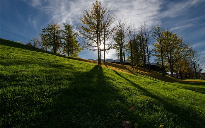 Fondo de pantalla de paisaje de larga sombra europea Vistas:9367