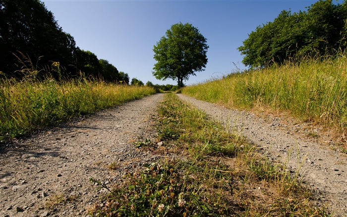 El camino continúa - Fondo de pantalla de paisaje europeo Vistas:7888