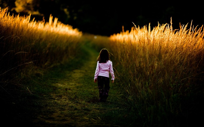 un paseo en la naturaleza-lindo fondo de pantalla HD Vistas:9153