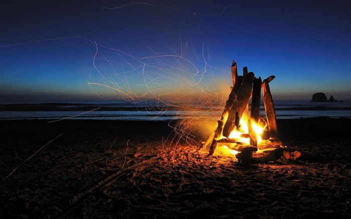 beach fire-Best HD Wallpaper Views:12882 Date:2013/10/23 10:59:20