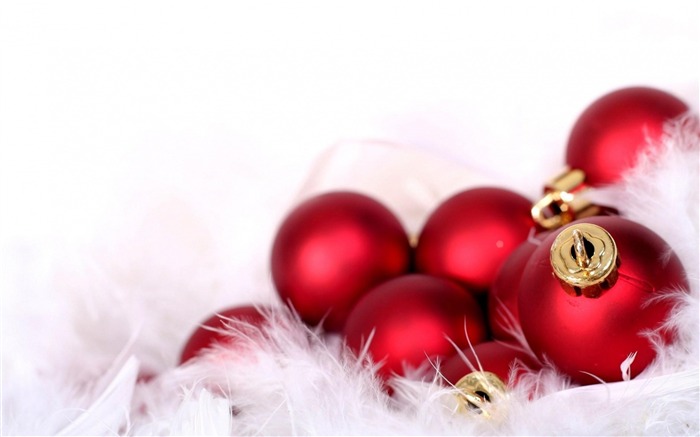 decorations balloons red feathers-Christmas Holiday Wallpaper Views:8669 Date:2013/10/27 9:16:23