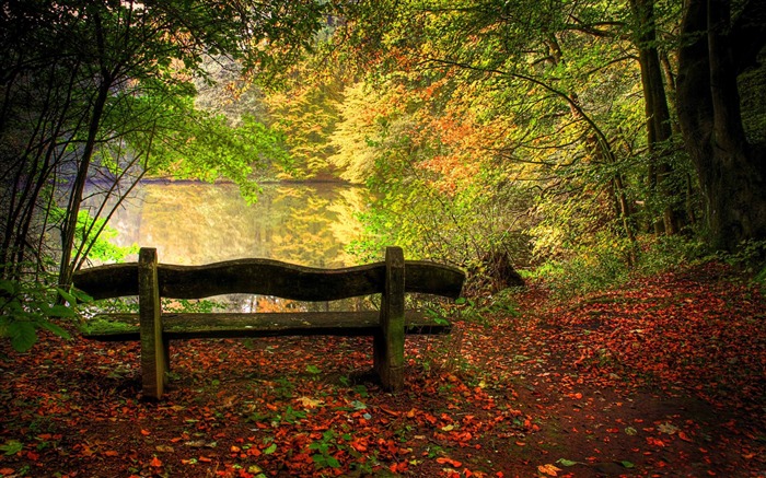 empty bench in fall scene-Landscape HD Wallpaper Views:14071 Date:2013/10/9 8:52:48